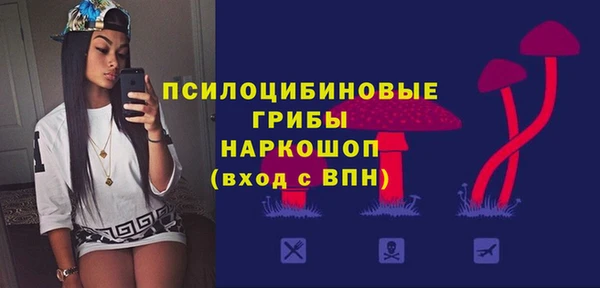 метадон Медвежьегорск