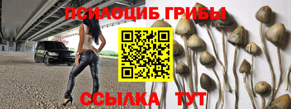 NBOMe Лянтор
