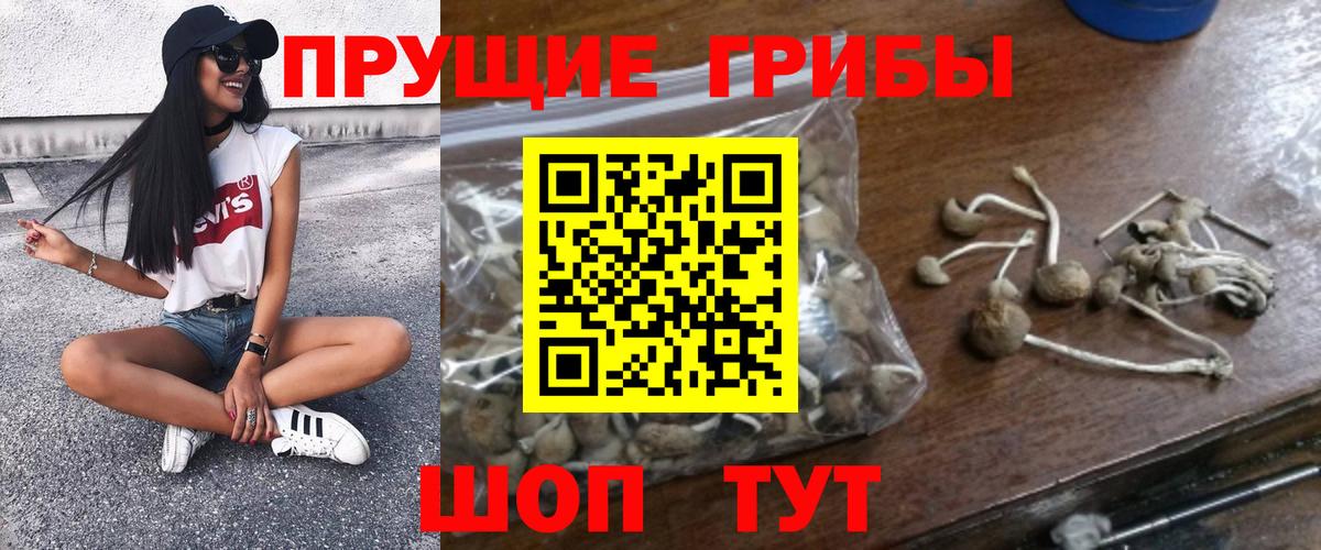 Галлюциногенные грибы ЛСД Лянтор