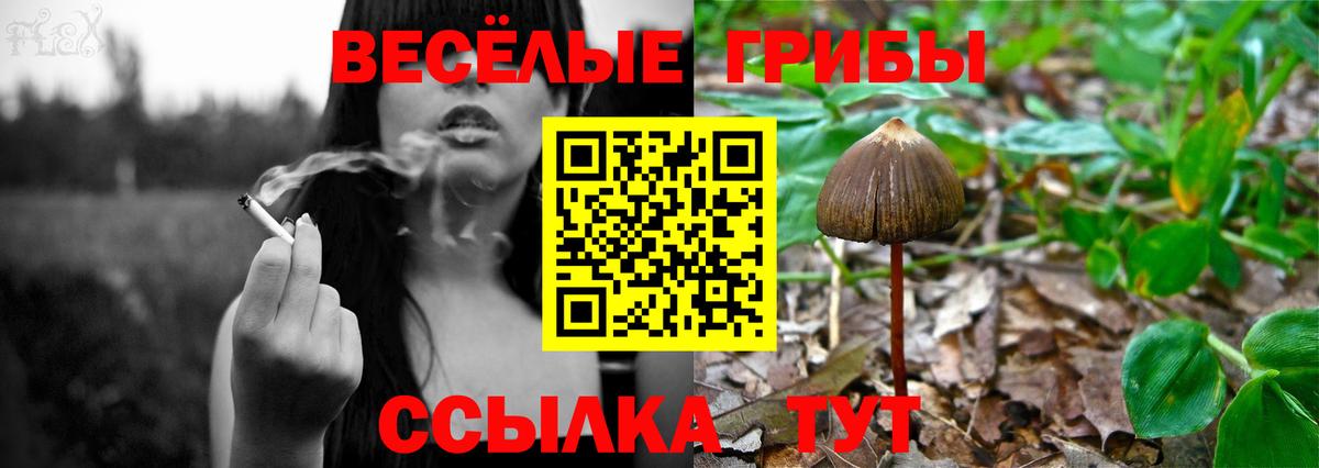 Лянтор  Псилоцибиновые грибы Magic Shrooms  Вход с VPN 